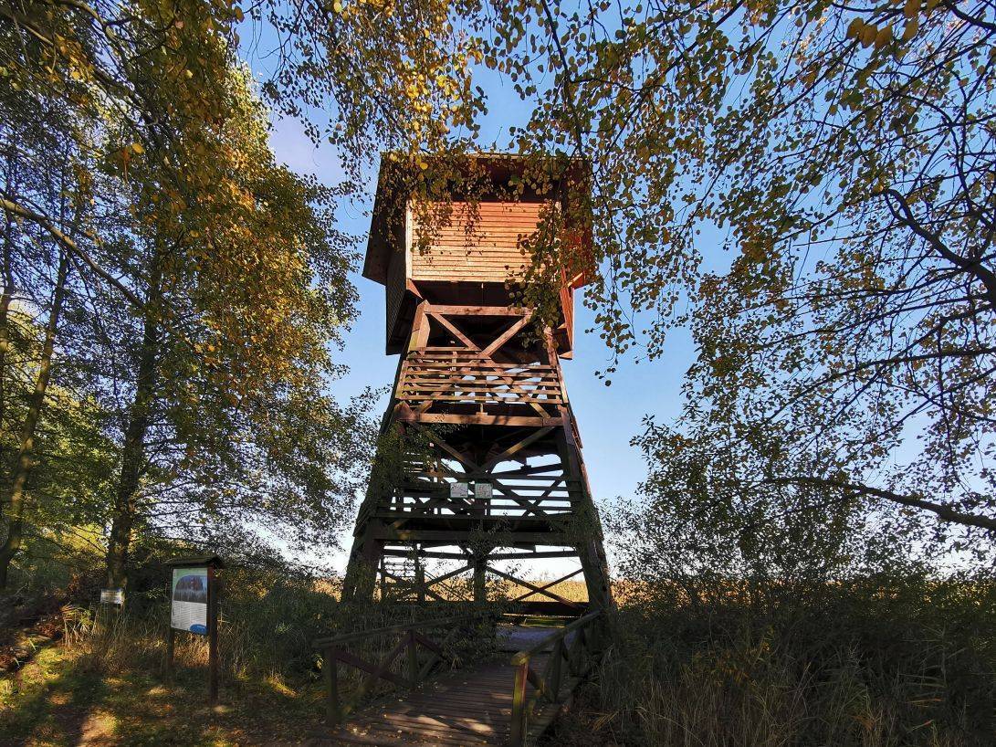 Grabownica – wieża obserwacyjna - Trails of Lower Silesia